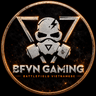 BFVN Gaming